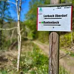 Muehlenteich By Hoheisel