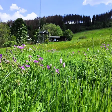 Lejlighed Ferienwohnung Harz Wanderurlaub Fuer Naturfans Osterode am Harz