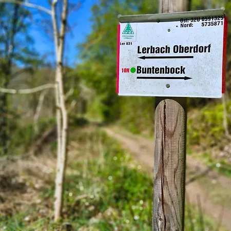 Ferienwohnung Harz Wanderurlaub Fuer Naturfans