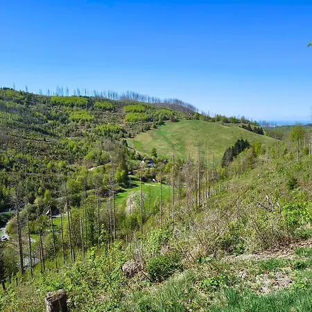 Apartamento Winterurlaub Im Harz Am Rodelhang - Muehlenteich By Hoheisel