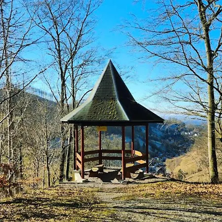 Apartamento Winterurlaub Im Harz Am Rodelhang - Muehlenteich By Hoheisel *