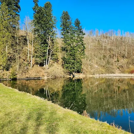 Muehlenteich By Hoheisel - Wanderurlaub Im Harz * Osterode am Harz