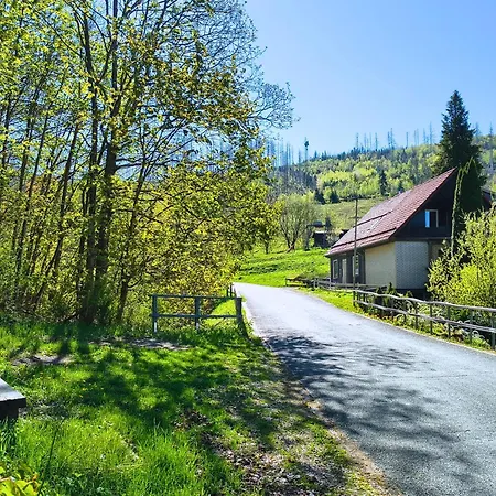 Apartamento Winterurlaub Im Harz Am Rodelhang - Muehlenteich By Hoheisel *