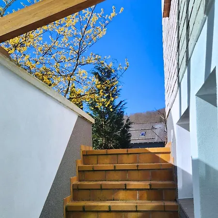 Winterurlaub Im Harz Am Rodelhang - Muehlenteich By Hoheisel *