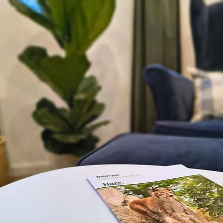 Lejlighed Ferienwohnung Harz Wanderurlaub Fuer Naturfans