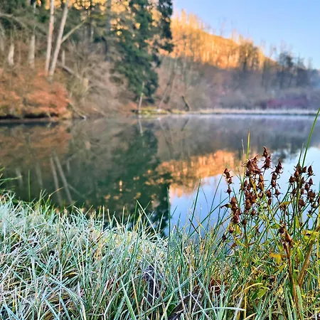 Muehlenteich By Hoheisel, Zaubernuss, Parken, Wanderstart, Wlan 公寓