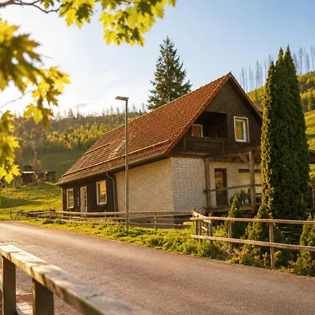 Harz Ferienwohnung Muehlenteich - Natur, Ruhe & Wandern