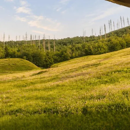 Harz Ferienwohnung Muehlenteich - Natur, Ruhe & Wandern