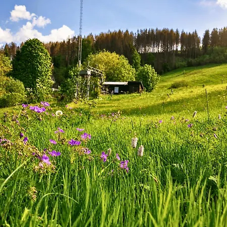 Harz Ferienwohnung Muehlenteich - Natur, Ruhe & Wandern * Osterode am Harz
