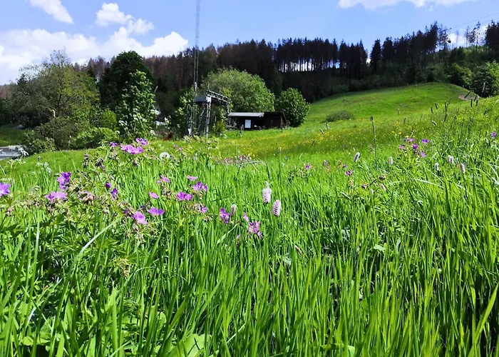 Lejlighed Muehlenteich By Hoheisel, Zaubernuss, Parken, Wanderstart, Wlan Osterode am Harz